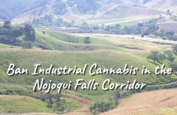 BAN CANNABIS IN SANTA BARBARA'S BEAUTIFUL NOJOQUI FALLS CORRIDOR FOREVER