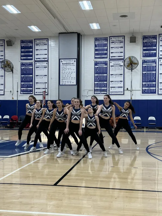Petition for a JV Squad Addition (Dance Team)