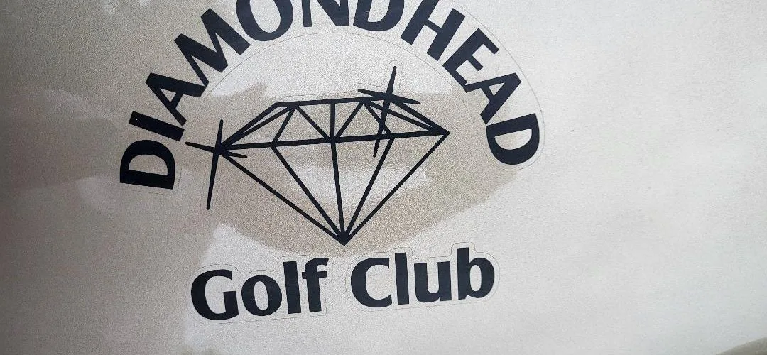 Remove Elton M. Kyger from the Diamondhead Country Club and Property Owners, Inc.  board of directors