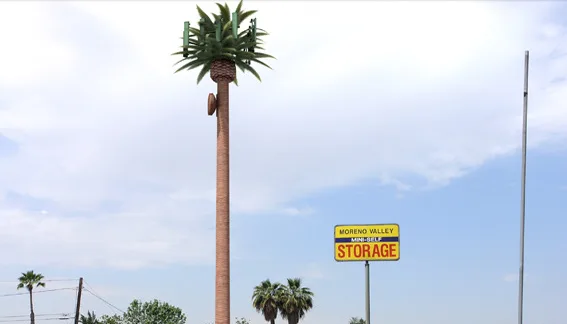 STOP the Proposed Monopalm Verizon Cell Tower in Chandler