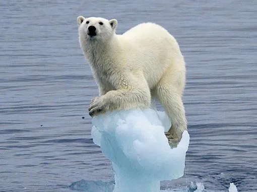 Prevent Climate Change: Protect our Future