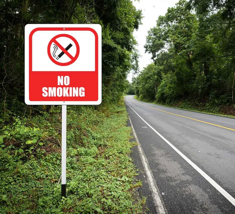 Make smoking in New York state illegal