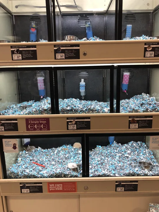 Stop The Sale Of Tiny Hamster Cages!