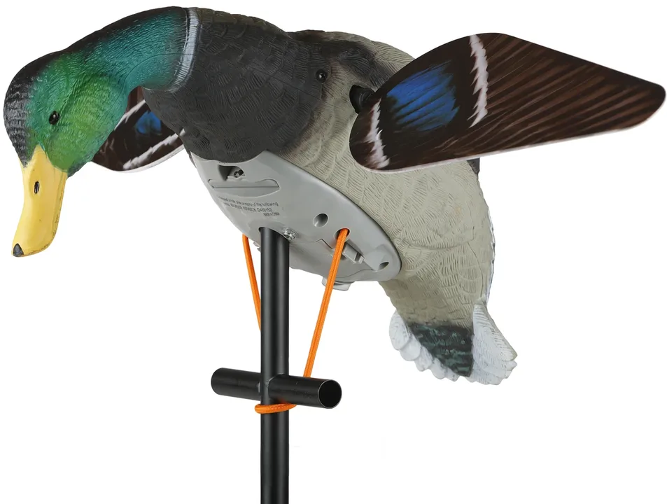 Ban Spinning Wing Decoys on All WMA Land in Arkansas