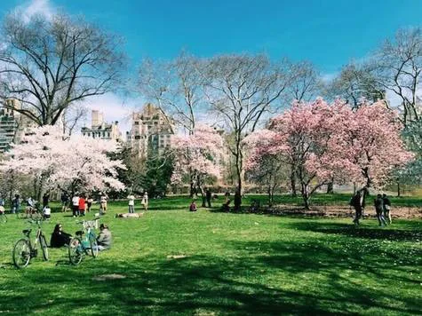 More Parks for Bethesda!