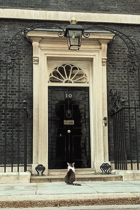 GET RID OF DAVID CAMERON