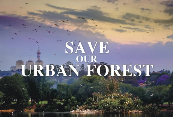Save Johannesburg's Urban Forest