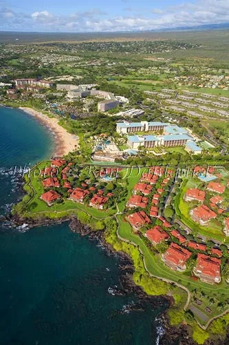 help me get the jobros to come to maui