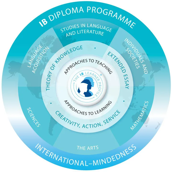 IB psychology