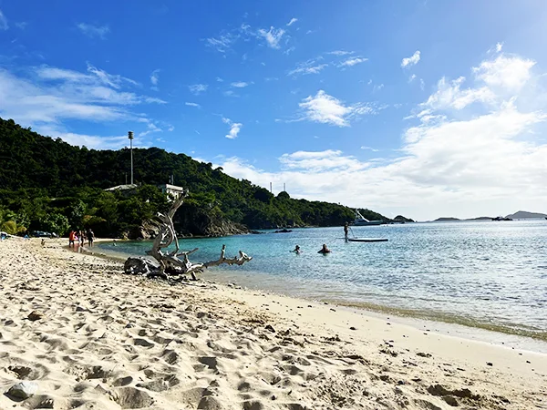 DEPARTMENT OF PLANNING AND NATURAL RESOURCES,  VIRGIN ISLANDS: DO NOT APPROVE! 