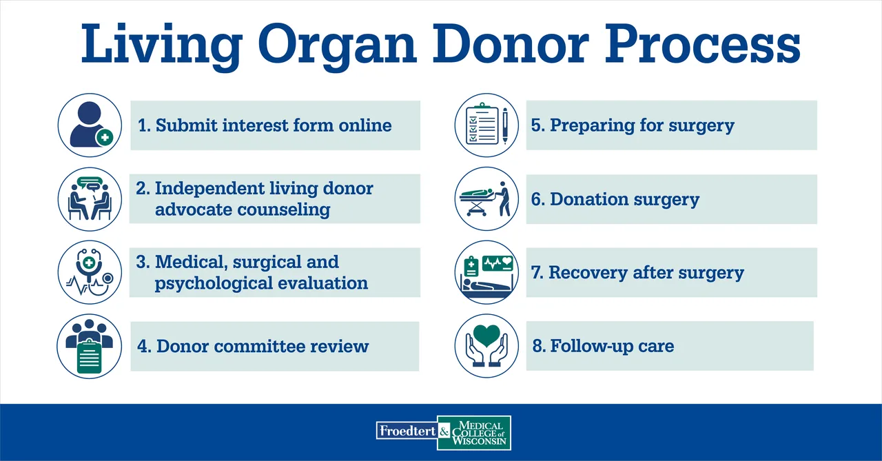 Say No to Living Donors Insurance Discrimination in Colorado