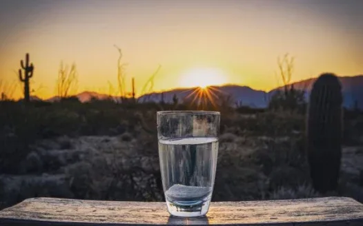 STOP WATER TRANSFERS FROM MCMULLEN VALLEY