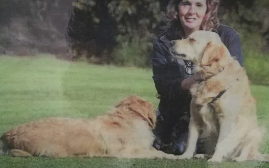 Pet Owners Petition for enclosed dog park in Albany WA