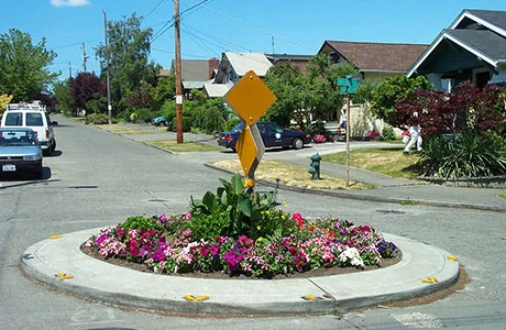 Forest Park III POA Road Improvement Plan Petition