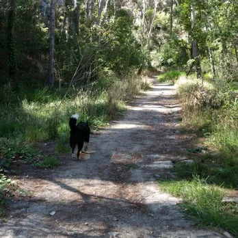 Save the Veterans-Quarry Park Trail