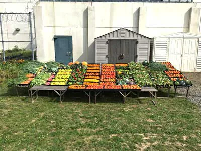 Revitalizing Canada's Prison Farms