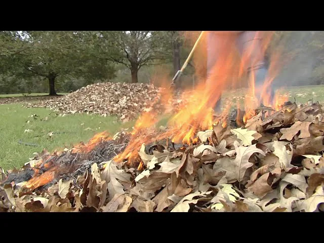 UPDATED Feb 7, 2017 -- Protest the Burn Ban