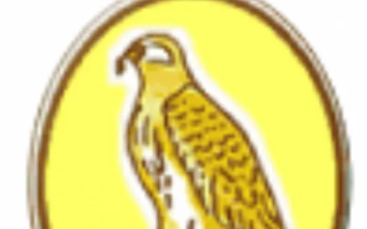 Protect the Whitsun May Half Term
