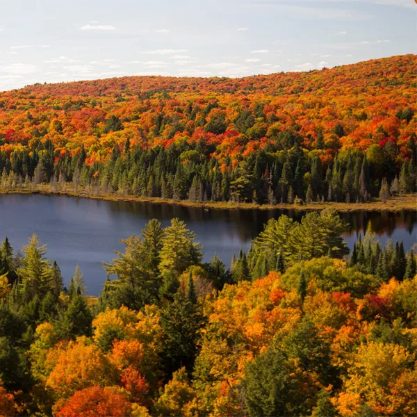 Protect South Algonquin against the Whitney Wind Farm