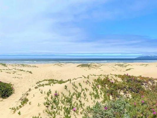 No New Vacation Rental Ordinance in Oceano!
