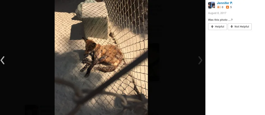 Shut Down West Coast Game Park