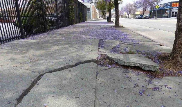 Los Angeles Sidewalk Repairs