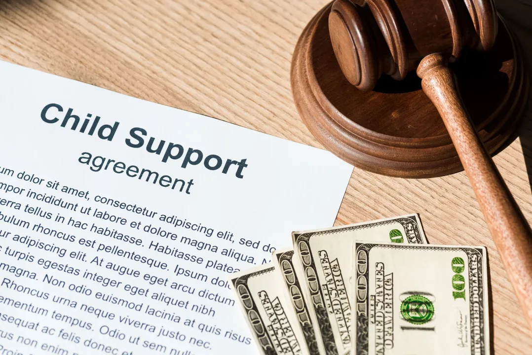 Family Court Petitioner Sues Major Corporations