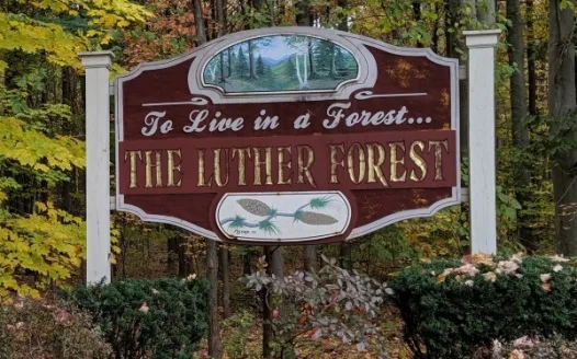 Save Luther Forest