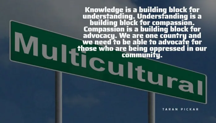 Addition of Multicultural Literacy to Minnesota K-12 Academic Standards