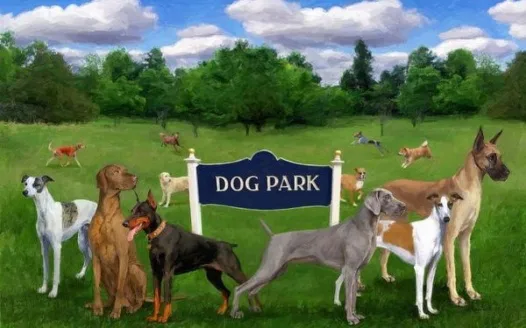 Sheeler Oaks Dog Park