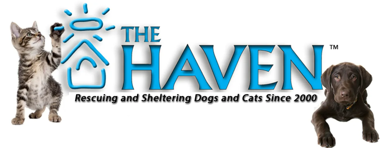 Support a California Animal Commission