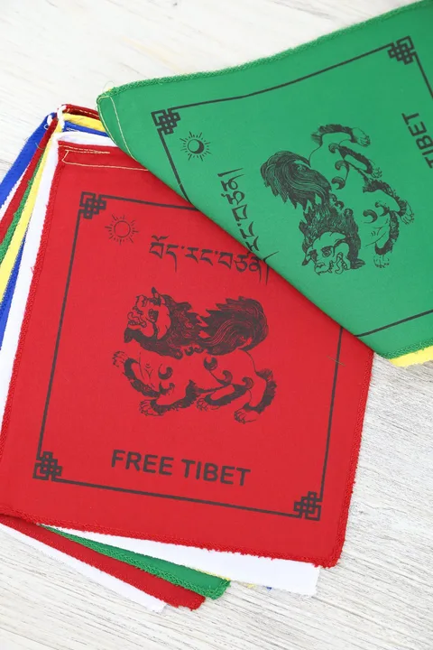 Support Tibet Resolution