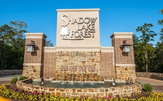 Shadow Lake Forest Basketball Goal Approval 