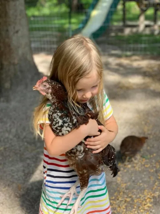 Chickens of Burgaw NC