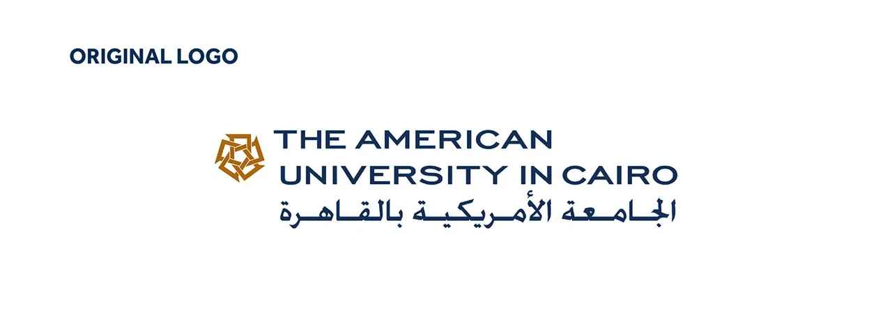Mohammed Dabbour Out of AUC
