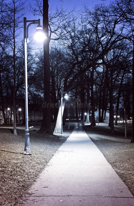 Install lights on Orford Park, Warrington