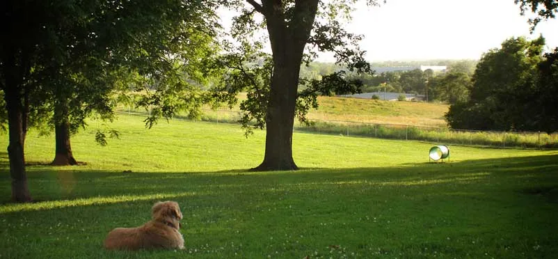 Creation of a Dog Park in Bonner Springs Kansas for Local Girl Scout's Gold Award Project!