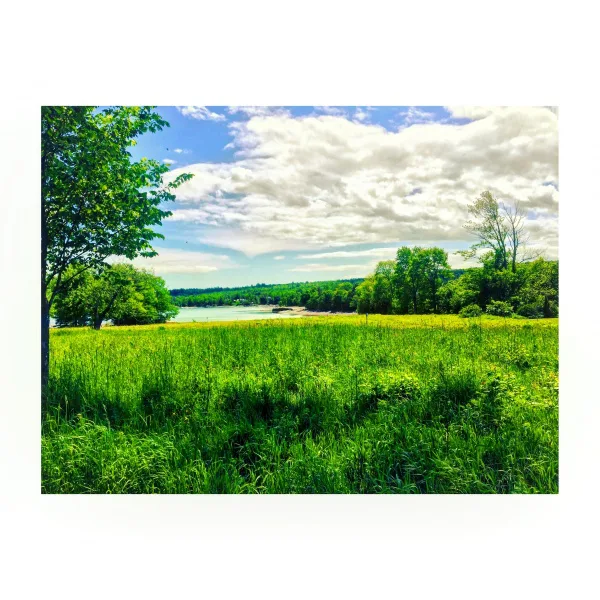Save Blue Hill