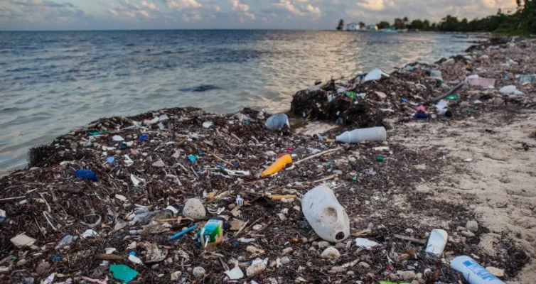 Protect Our Oceans From Pollution!