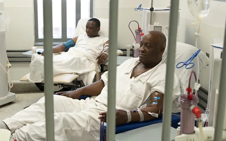Medical Care For Inmates in Michigan