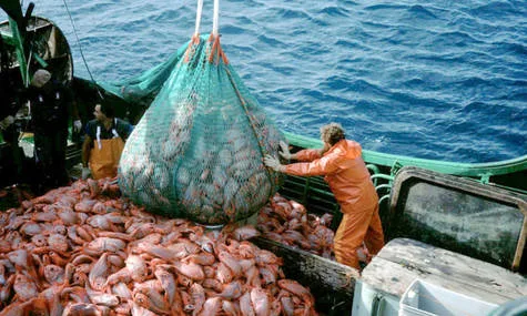 Stop Overfishing