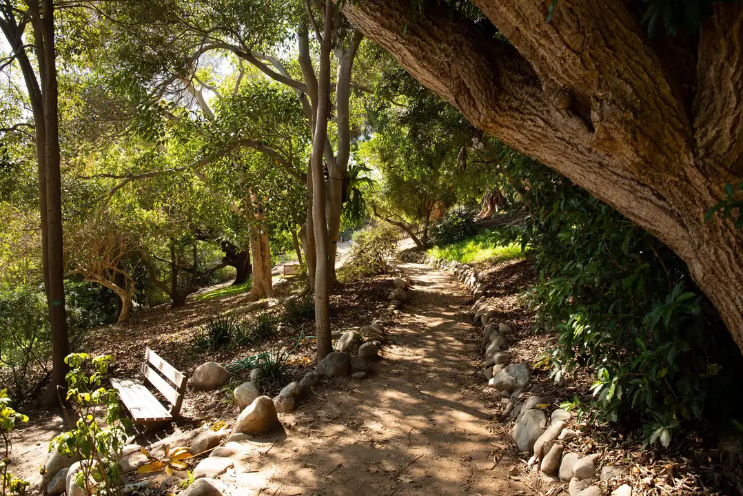 Reconsider Placement of Trees and Paths within the Buchanan Towers Addition Project that will Impact the Outback