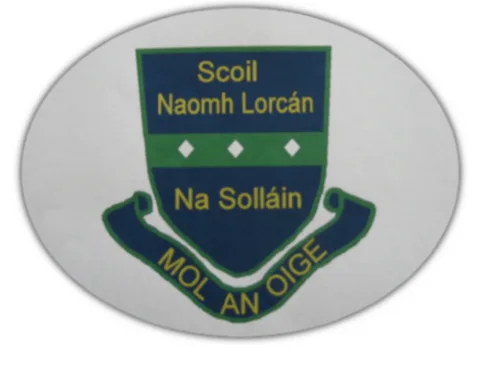 Please support our application for an all weather pitch in Sallins.
