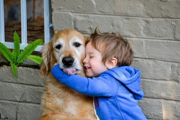 Get this boy a dog.