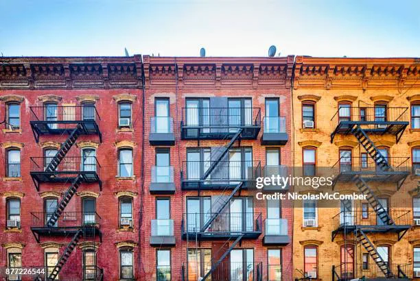 Unruly Neighbor