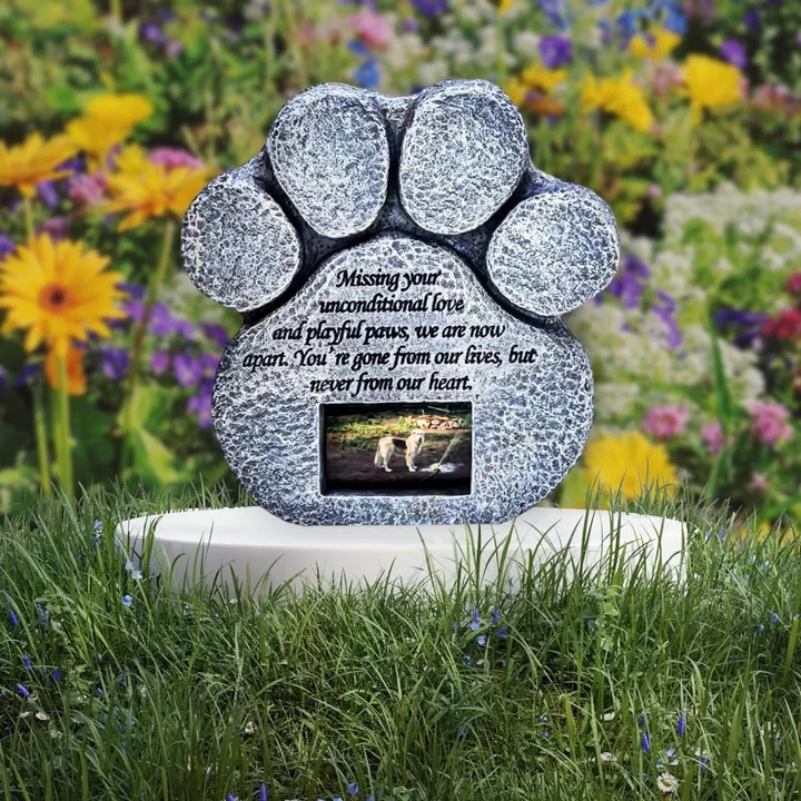 SAVE DUSTY the Kelpie