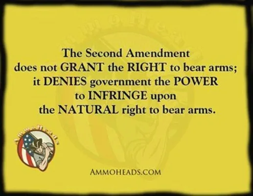 NO RED FLAG LAWS