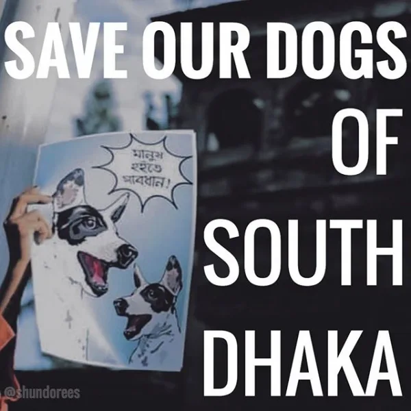 SAVE OUR DOGS OF SOUTH DHAKA
