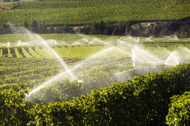 Stop Unfair Spray Water Fees – Support Osoyoos Farmers