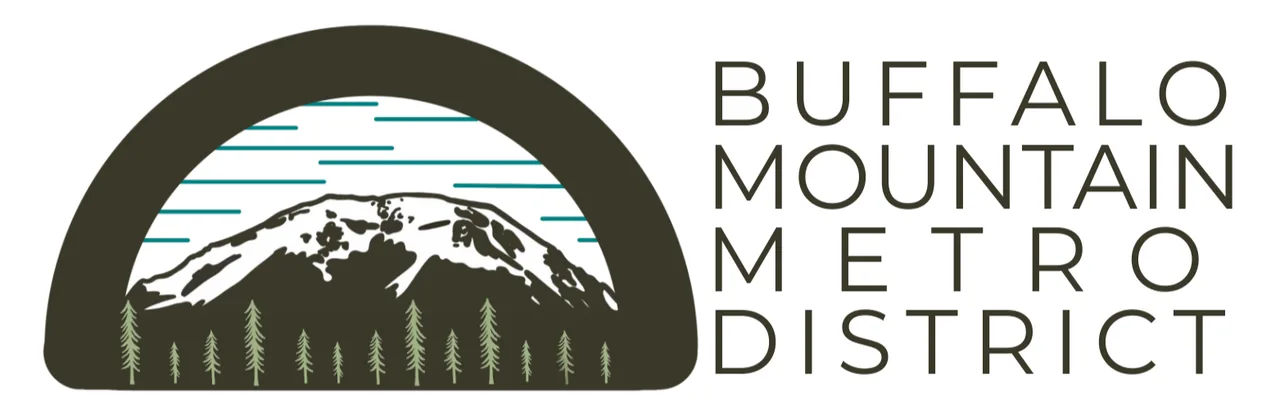1-4-12 Owner's Petition to Buffalo Mountain Metro District to revise the current out-of-date Wildernest Architectural Guidelines